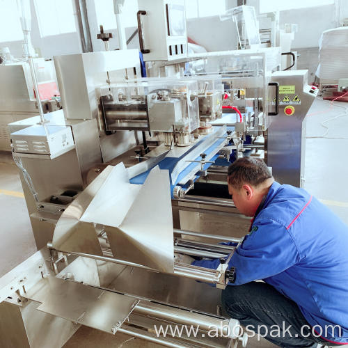 Hot sale Horizontal Flow Wrap Packaging Machine